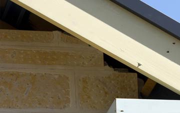 soffit repair Silkstone Common